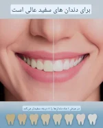 مسواک برقی Fhylian مدل H15 به همراه 8 سری یدک - تصویر 4