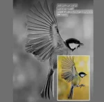 دوربین عکاسی و دید در شب فول‌کالر 5K GOWENIC  با زوم 50X و Wifi کد 2086115 - تصویر 8